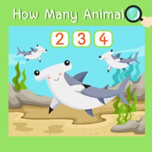 How Many? – Set 6