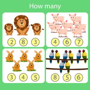 How Many? – Set 13