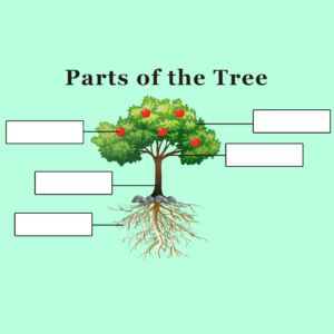 Parts of the Tree