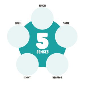 Five Senses – Body Parts