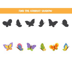 Find The Correct Shadow – Butterflies