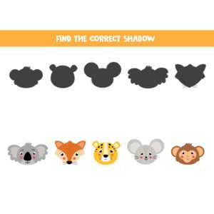 Find The Correct Shadow – Animals