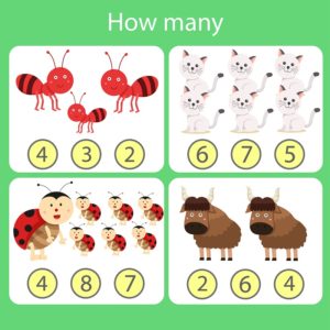 How Many? – Set 20