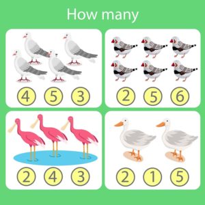 How Many? – Set 23