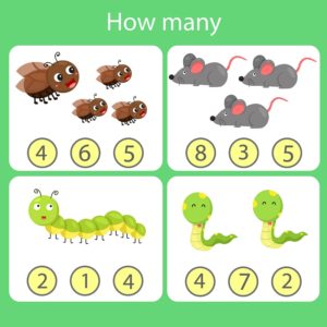 How Many? – Set 24