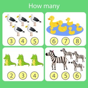 How Many? – Set 25