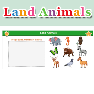 Land Animals