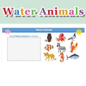 Water Animals