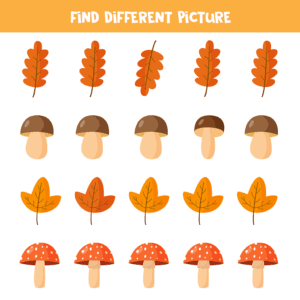 Find Different Picture – Set C