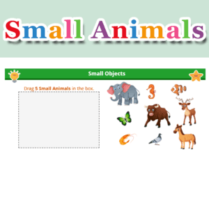 Small Animals